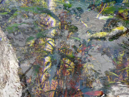 Capture from Arena 5